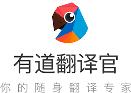 有道翻译网页版使用教程:快速上手指南?